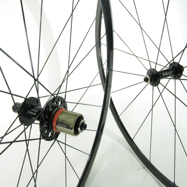 Custom wheel: Velocity Race Black hubs, Kinlin Xr300 Black rims, Sapim CX-Ray Black spokes