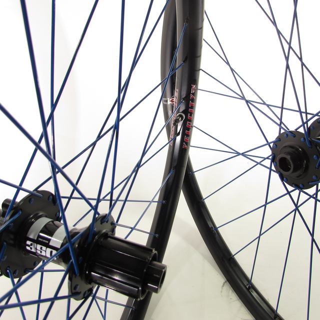Custom wheel: DT 350 6 Bolt Black hubs, Velocity Blunt Black rims, PWB Blue spokes